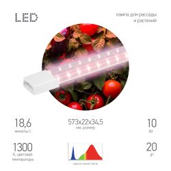 Светильник для растений фитолампа светодиодная линейная ЭРА GREEN LINE FITO-10W-Т5-PL-Slim-GR розового свечения 10 Вт | Линейные фито светильники