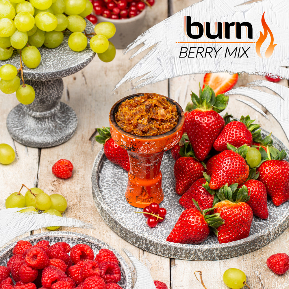 Burn - Berry Mix (25г)