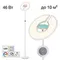 Торшер Loong CL810030 Citilux
