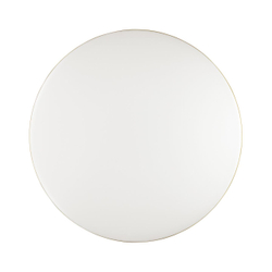 3043/DL TAN SN 000 Светильник пластик/белый/золотистый LED 48Вт 3000-6300К D385 IP43 пульт ДУ/ LampSmart LASSA