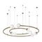 Подвесная люстра Loft IT Infinite 10155/1100 Gold