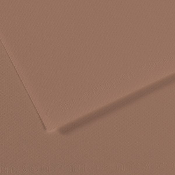 Бумага для пастели Mi-Teintes 160 г/м², 50х65 см, 10 л, №188 Коричневый каштан, Canson, C31032S133