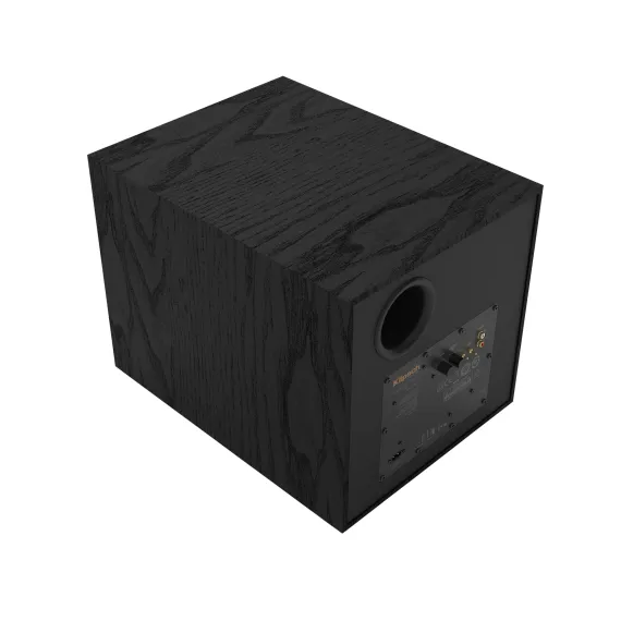 Klipsch R-101SW