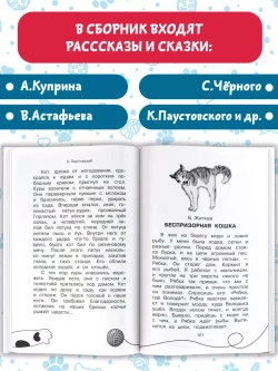 Большая кошачья книга