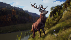 Way of the Hunter Elite Edition (для ПК, цифровой код доступа)