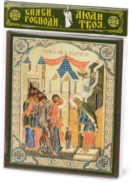 Икона БМ "Введение во храм", вид 2, 10х12 на МДФ-6 (1012-1564)