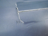 DSCN0212.JPG