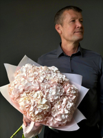 Букет гортензий (Колумбия)