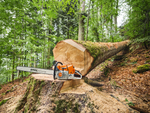 Бензопила STIHL MS 881 75см 0.404' 1,6мм 91 зв.