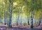 Puzzle Enchanted Forest