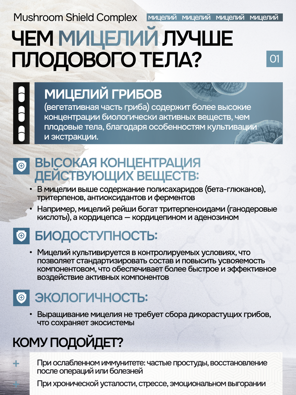 Грибной щит 180 капсул