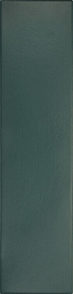 Equipe Stromboli Viridian Green 9.2x36.8