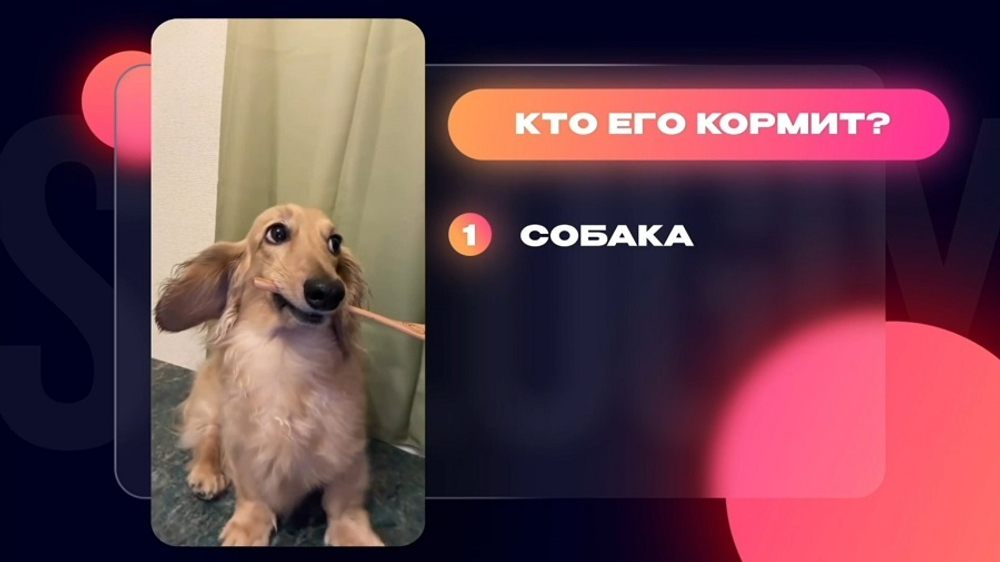 «Рилсология»