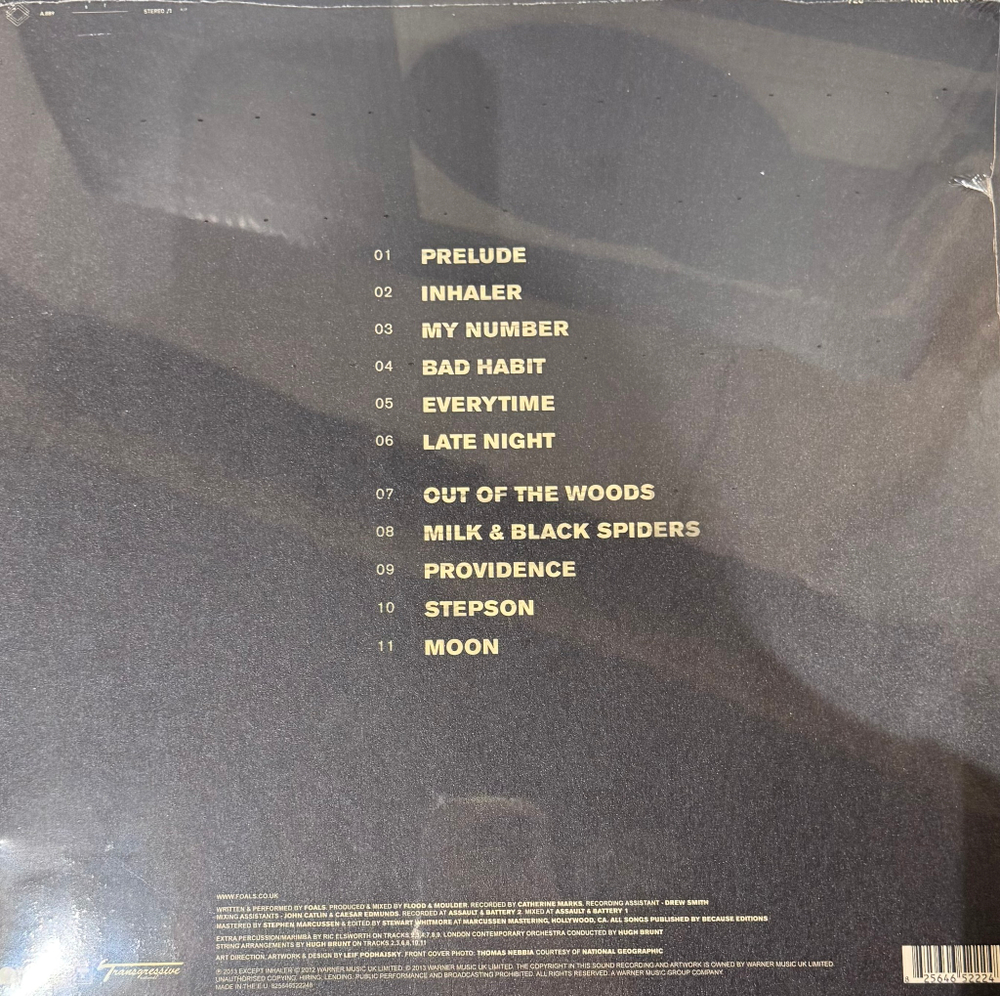 Виниловая пластинка Foals – Holy Fire LP