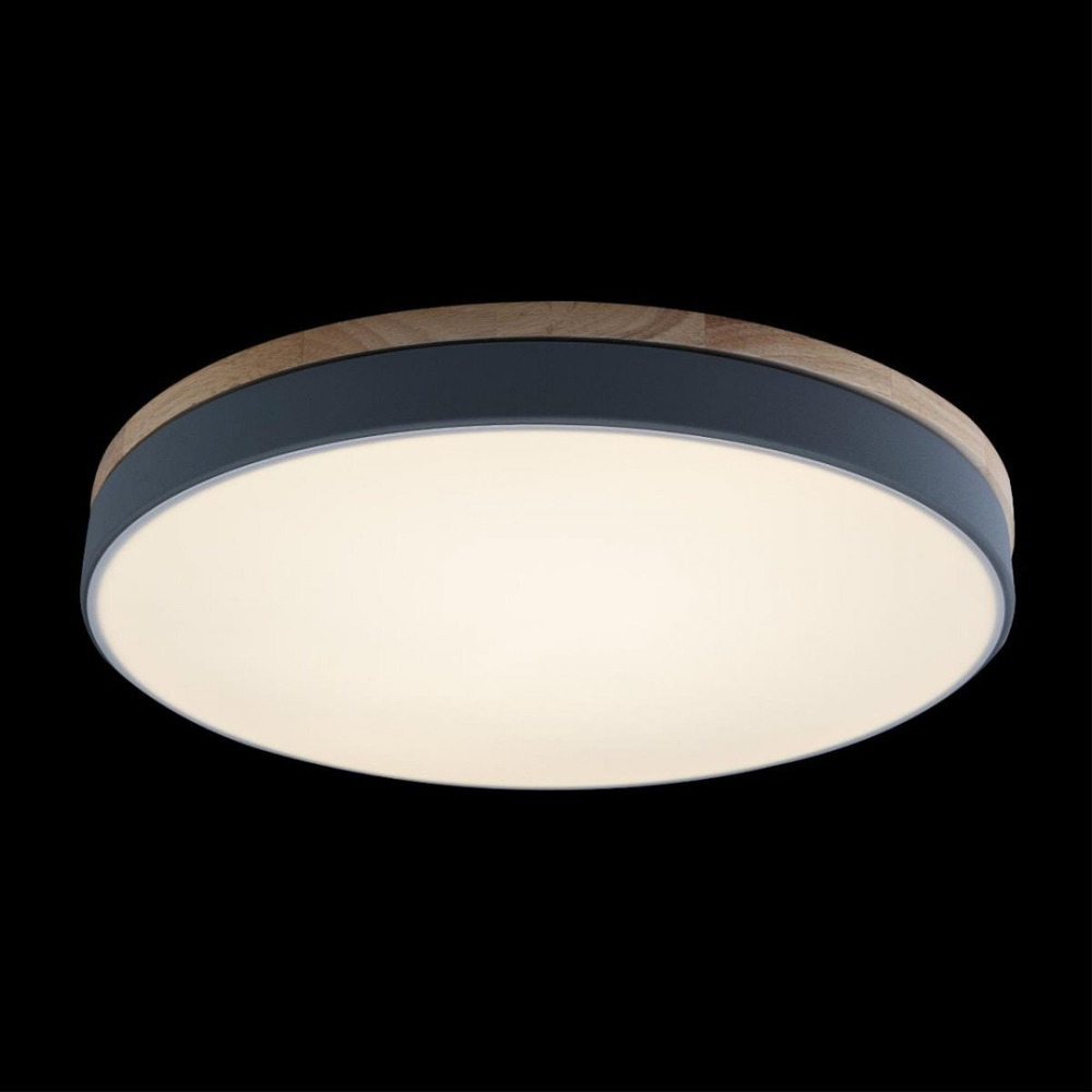 Потолочный светодиодный светильник Loft It Axel 10001/36 Grey