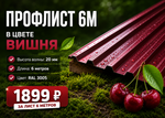 Профлист НС 20  (Н-Эконом)  6 м РАЛ 3005 Вишня
