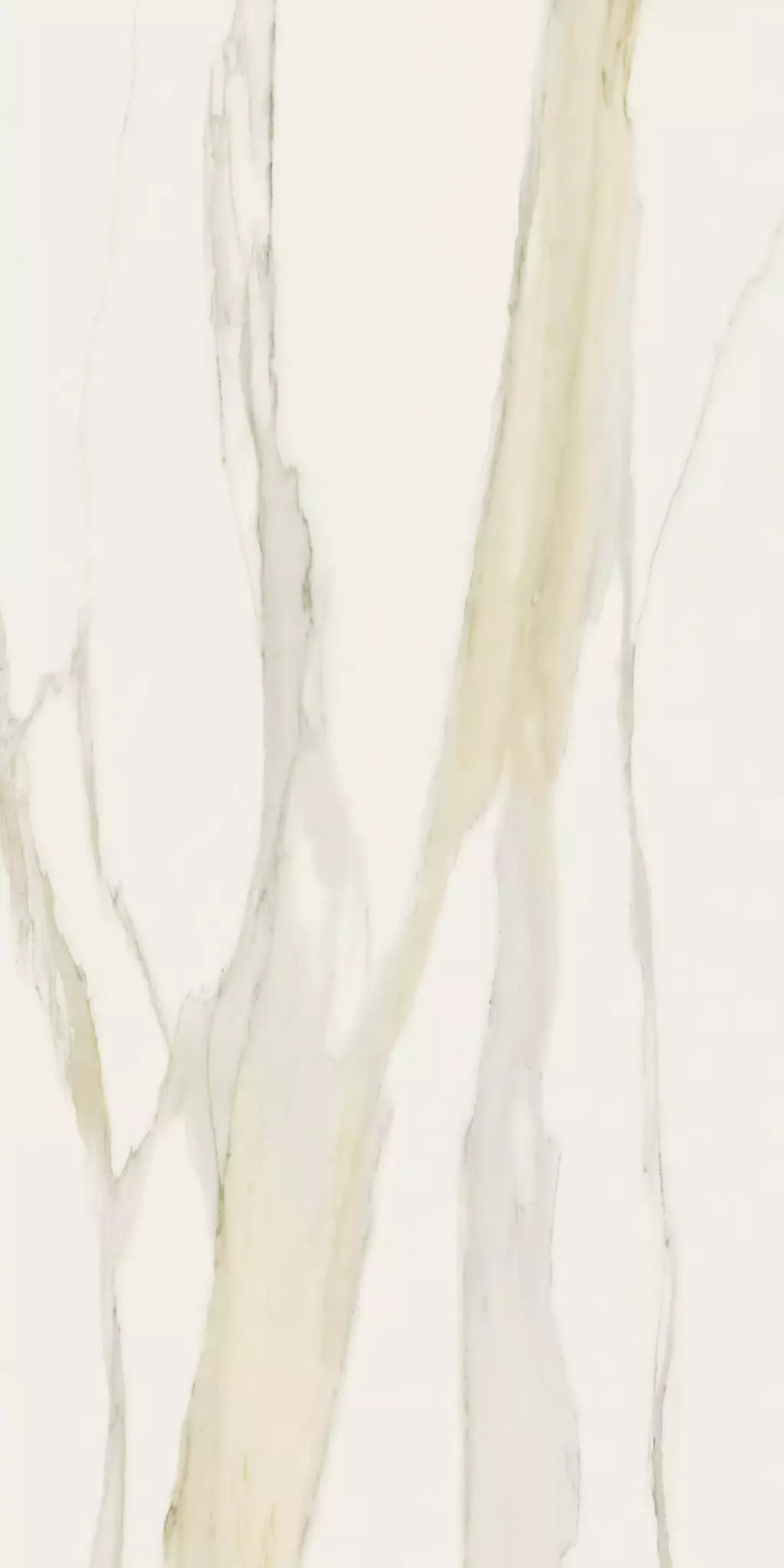Керамогранит Magnum I Classici Calacatta Gold 6mm Glossy