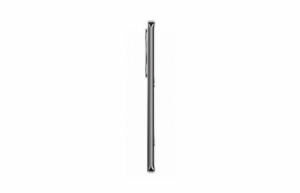 Смартфон Honor X9c 5G 8/256GB, Titanium Black (Титановый черный) (RU)