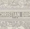 Сумка Dior Book Tote Dioriviera, белый/серый