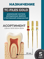 Машинные эндодонтические инструменты STEA TC-Files Gold для минимально инвазивной эндодонтии, 25мм