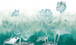 Коллекция Grafika Natura