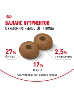 Royal Canin Maxi Adult 8+ (РоялКанин Макси Эджен 8+)для стареющих собак крупных пород (весом от 26 до 44 кг) в возрасте 8 лет и старше 15кг
