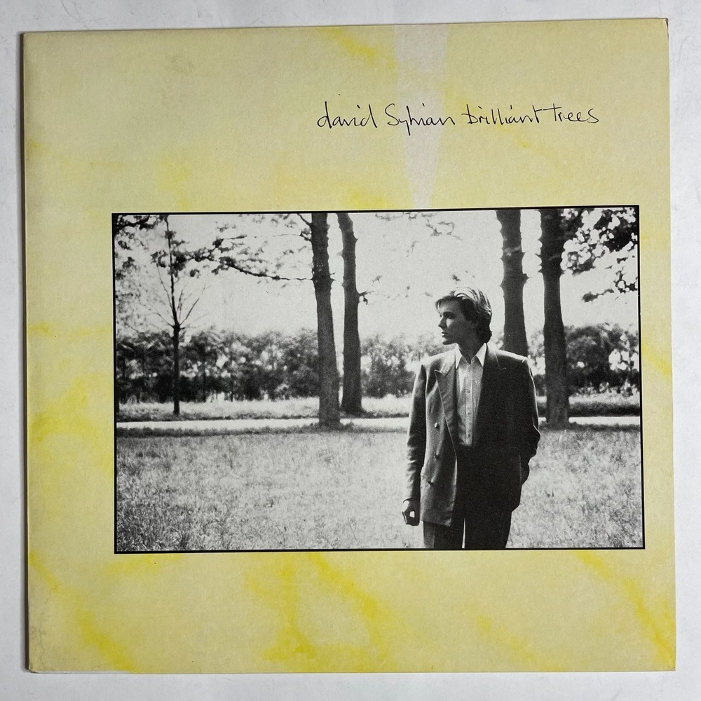 Винтажная виниловая пластинка LP David Sylvian Brilliant Trees (UK 1984)