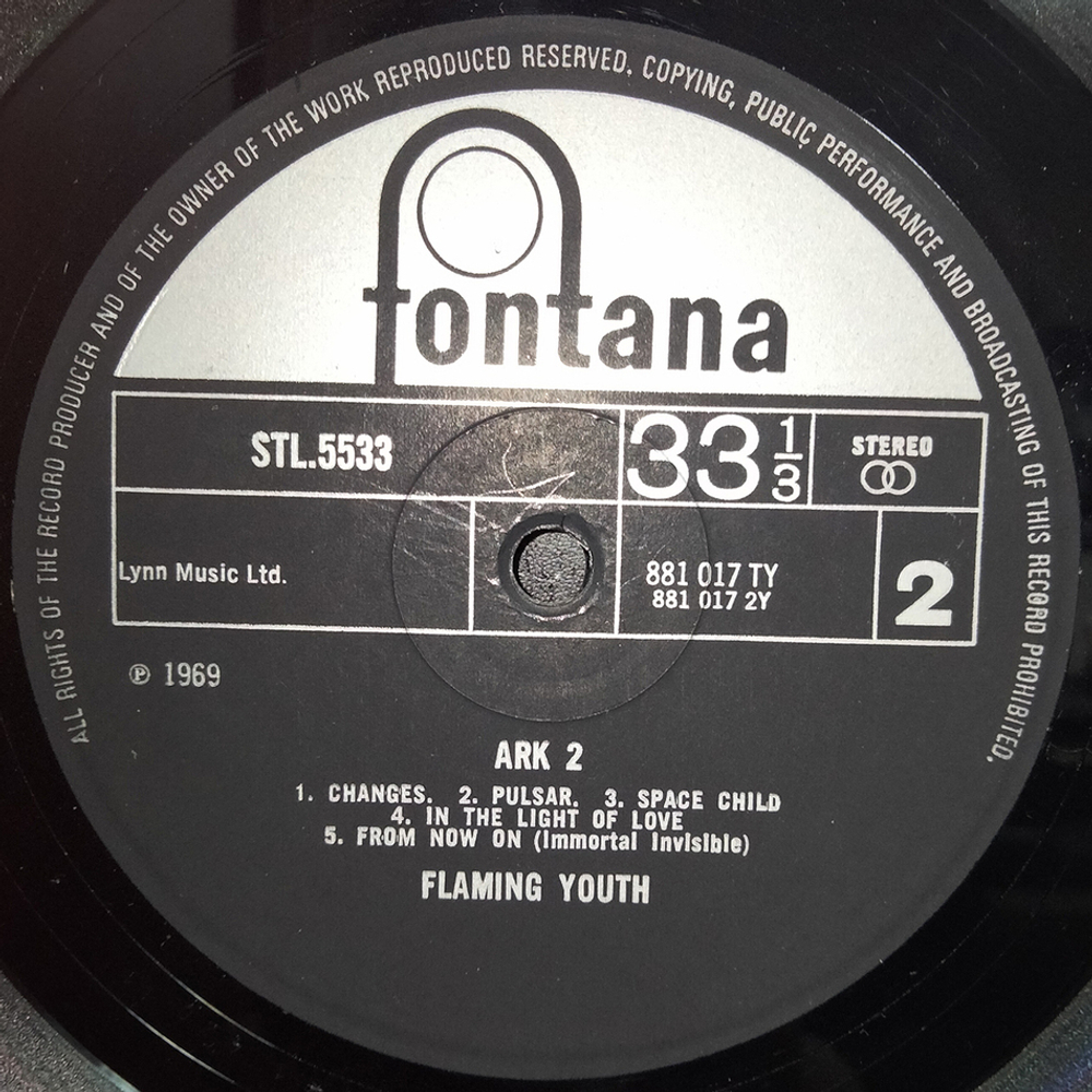 Flaming Youth / Ark 2 (LP)