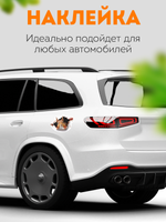 Наклейка автомобильная Белка выглядывает на белом фоне