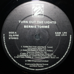 Bernie Torm? / Turn Out The Lights (LP)