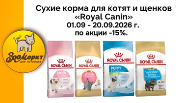 Сухие корма для котят и щенков «Royal Canin» по акции  - 15%.