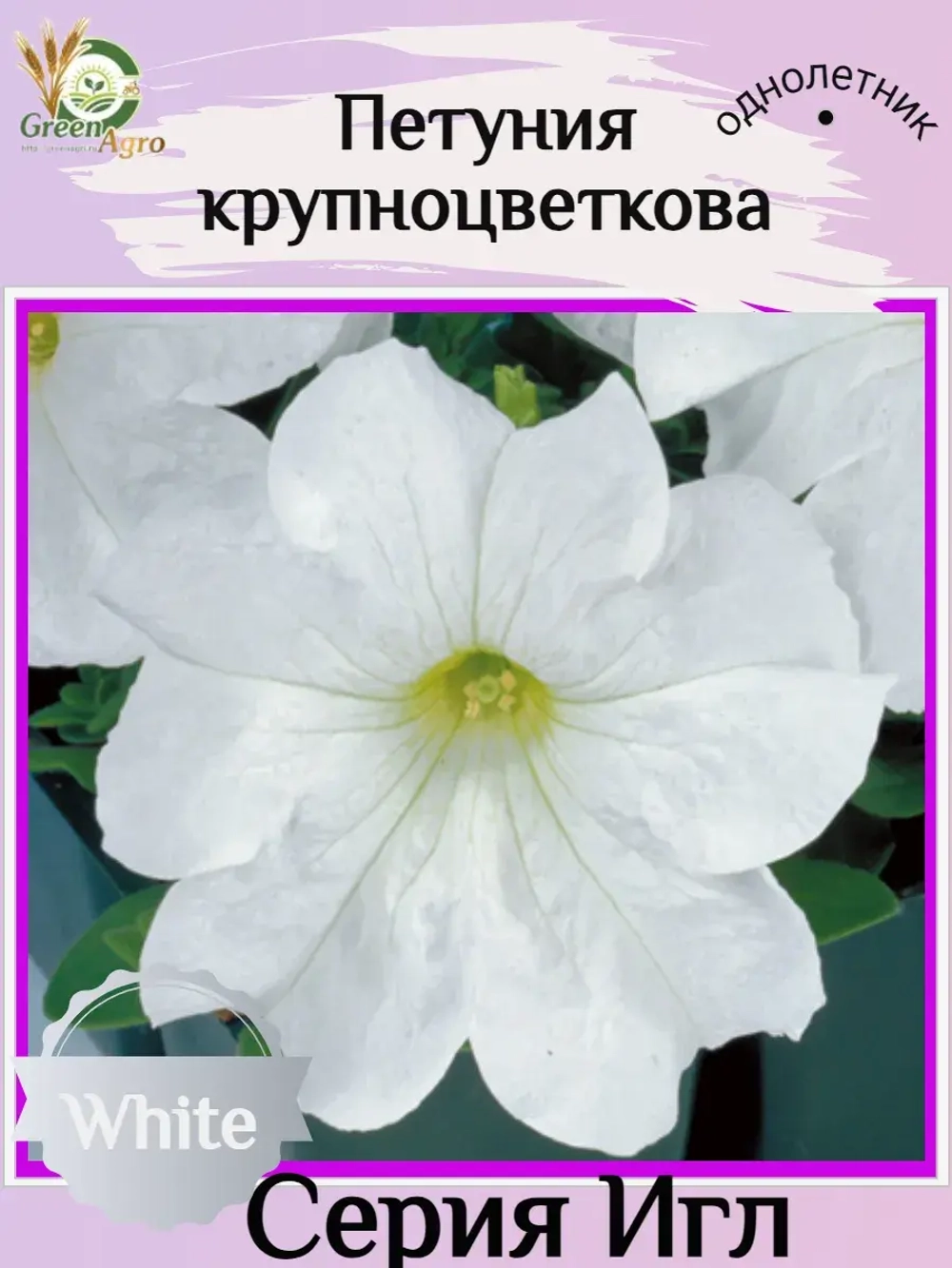 Семена Петуния Крупноцветковая