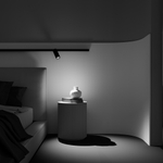 Магнитный трековый светильник Maytoni Focus LED TR032-2-20W2.7K-M-B