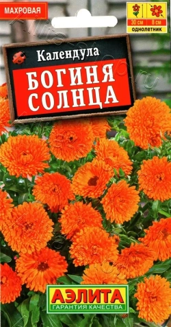 Календула Богиня солнца Ц Аэлита