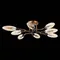 Потолочная люстра Desima SL1174.302.08 ST Luce