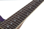 Schecter PT SPECIAL Purple Burst Pearl
