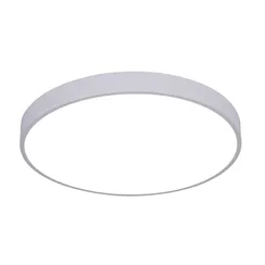 Потолочный светильник Arena A2670PL-1WH Arte Lamp