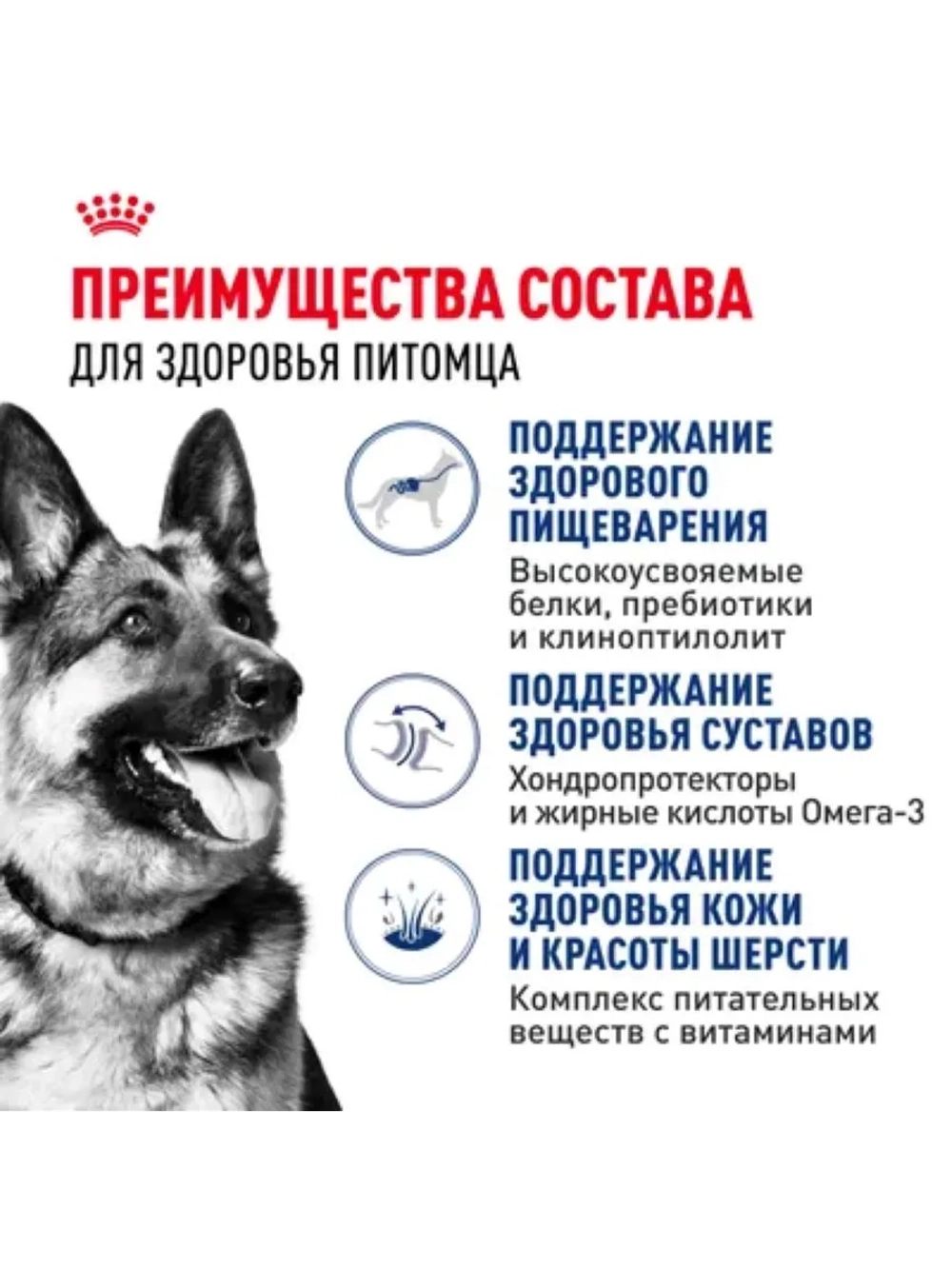 MAXI Adult Корм для собак 3кг