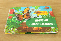 Лэпбук "Насекомые"