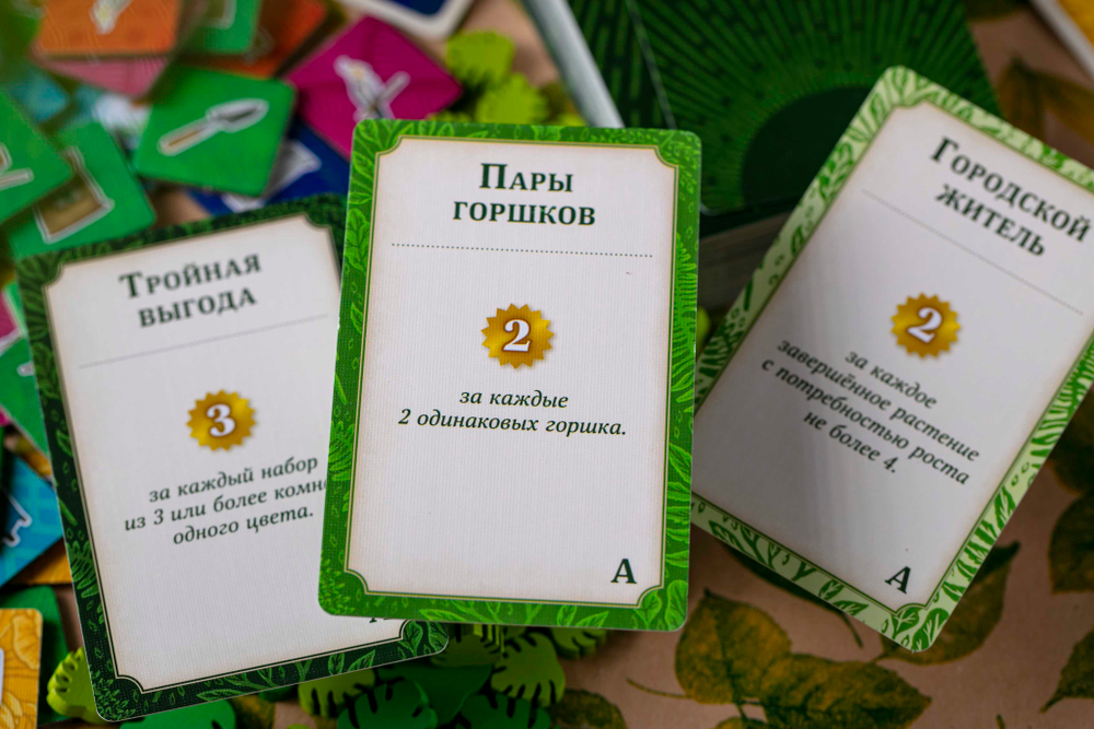 Зелёный дом-16219-crowdgames.ru-19