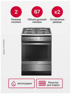 Газовая плита Hansa FCGX62020