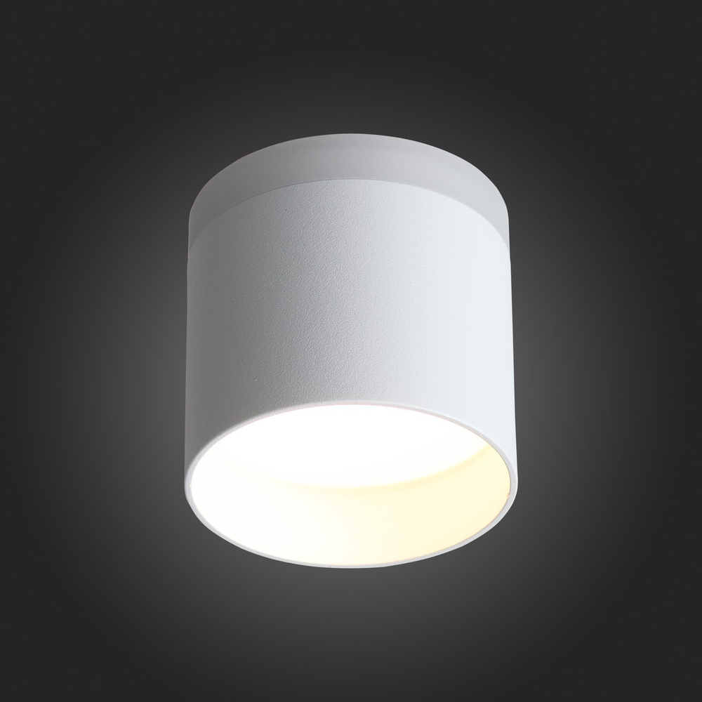 Светильник потолочный ST Luce Panaggio ST102.502.12
