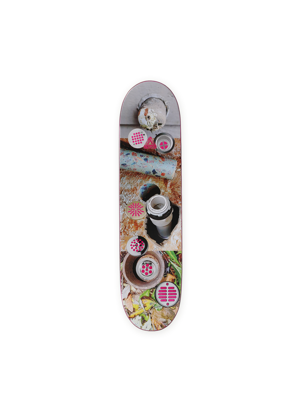 Дека Chewy Pro S43 (8.375)