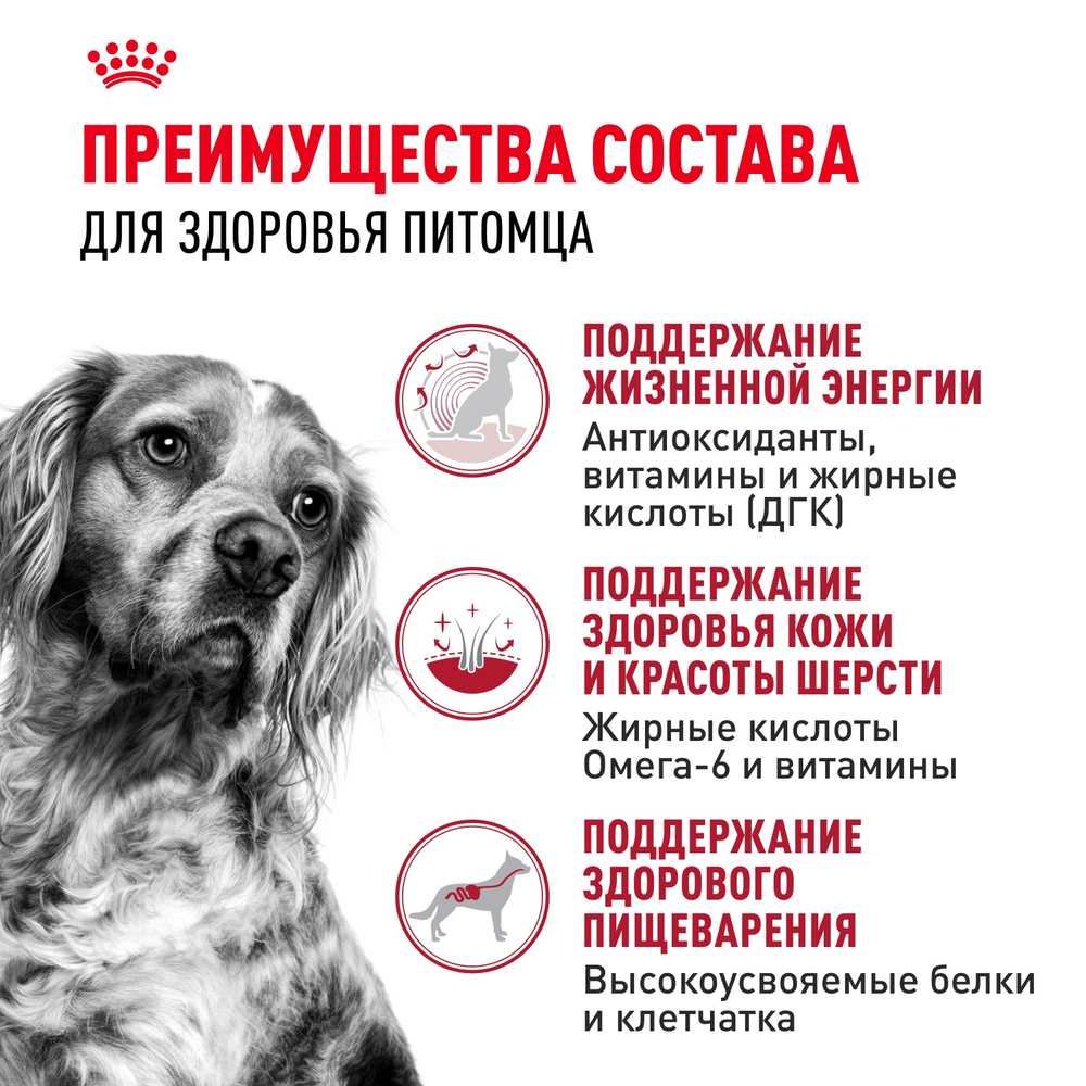 Royal Canin Medium Adult 7+ Медиум Эдалт Корм сухой для взрослых собак средних размеров от 7 лет и старше 4кг