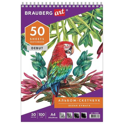 Скетчбук 205х290 мм, 50 л., гребень "DEBUT" (BRAUBERG)