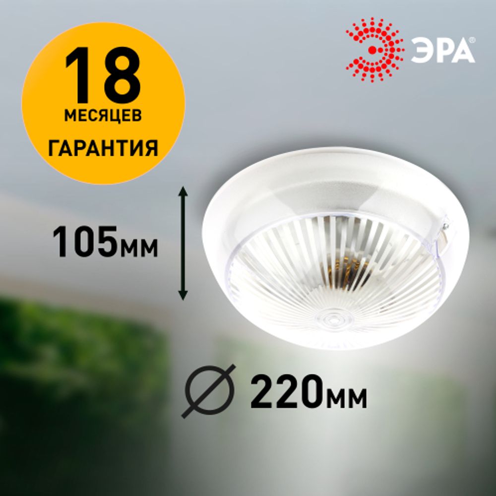 Светильник ЭРА «Сириус» НБП 06-60-001 поликарбонат IP54 E27 max 60Вт D220 круглый призма | Светильники ЖКХ РБ