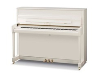 Kawai K200