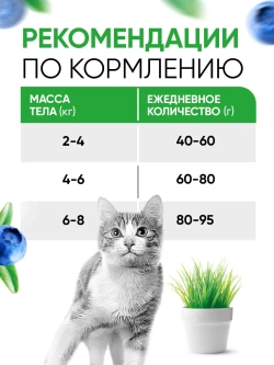 DELICANA сухой полнорационный корм для взрослых кошек с ягненком 8 кг