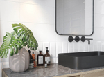 EVOLUTION