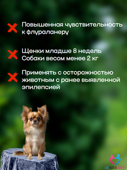 ВЕПРИПАК 1000 мг - таблетки от блох и клещей для собак крупных пород 20-40 кг,1 таблетка